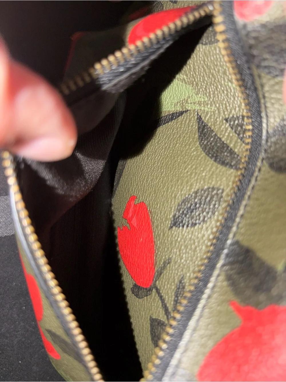Coach Olive Green & Red Floral Mini Backpack